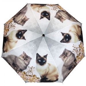 Красивый зонт с котоми Baolizi, полуавтомат, арт. 3024В-3